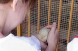 Chick.jpg image by MossRose73